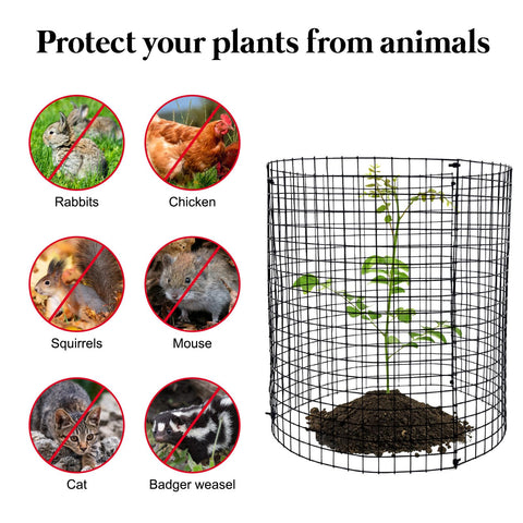 Hlimior rectangular cage option facilitates flexible garden protection