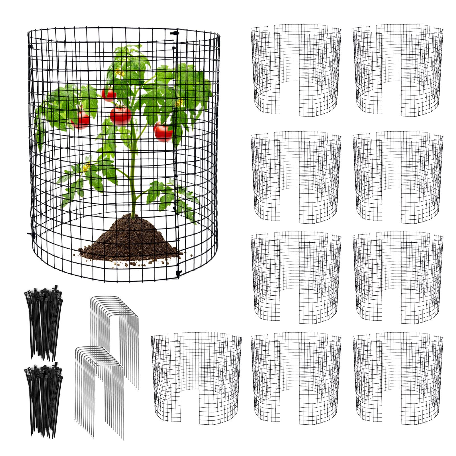 Hlimior round plant protector 12in shields seedlings from rabbits while allowing sunlight