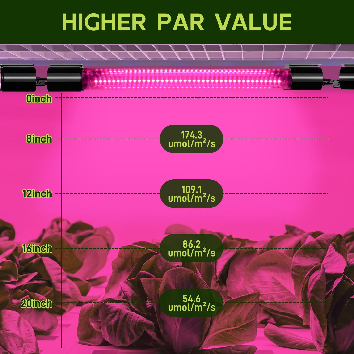 HLite 16-inch four-pack illuminate indoor grow area with full-spectrum light.
