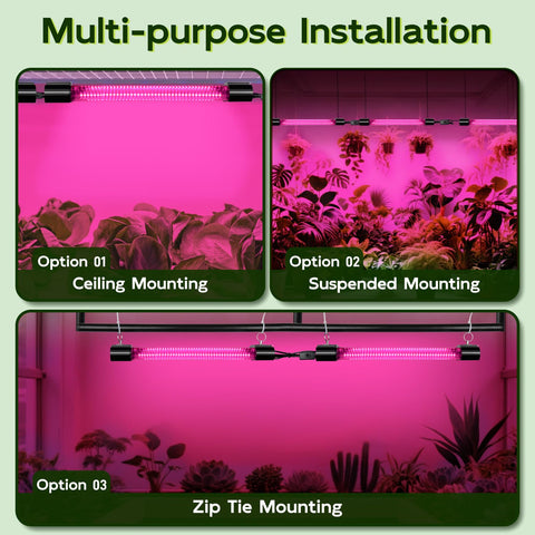 Hlite 2-pack in use powers seedlings to blooms with reliable spectrum.
