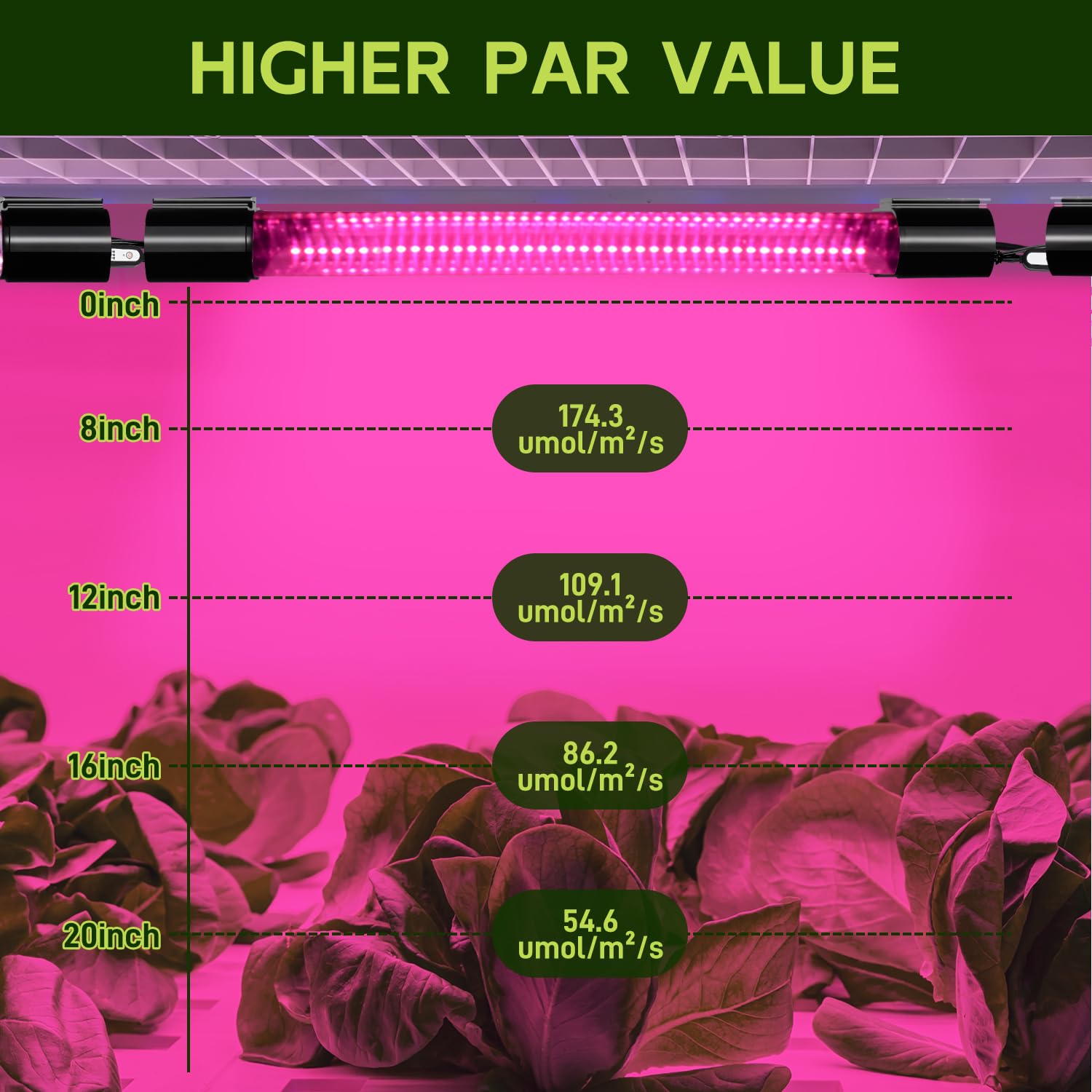 Hlite full-spectrum plant light 16-inch for healthy seedling growth.