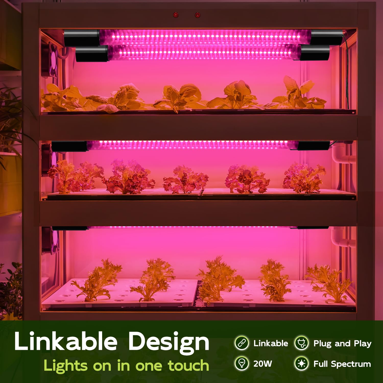 Hlite indoor application on shelves and tents showcases versatile plant lighting.