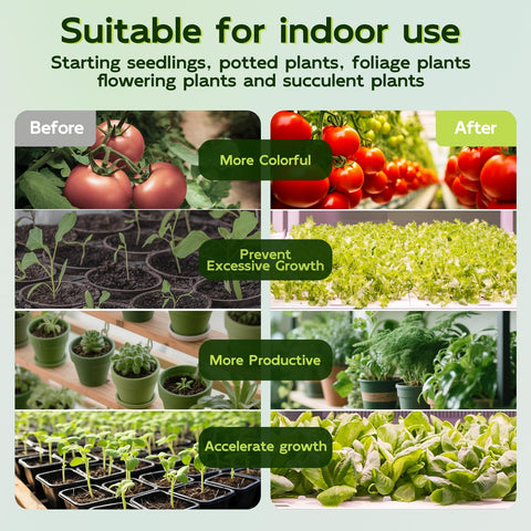 HLite high-PPFD output supports efficient photosynthesis for leafy plants.