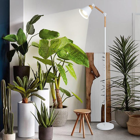 HMVPL full-spectrum LEDs provide sun-like light for growth stages.