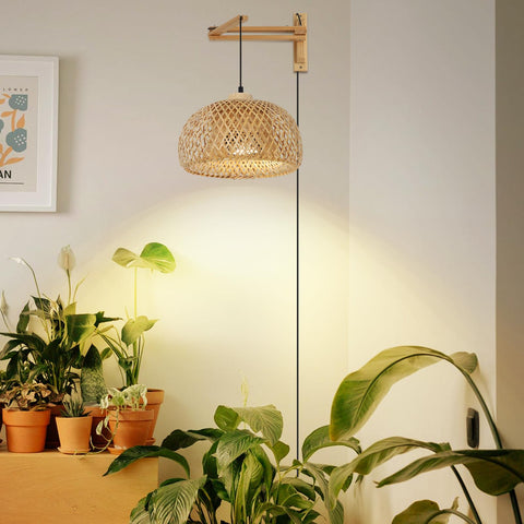 HMVPL full-spectrum light supports seedlings to flowering stages