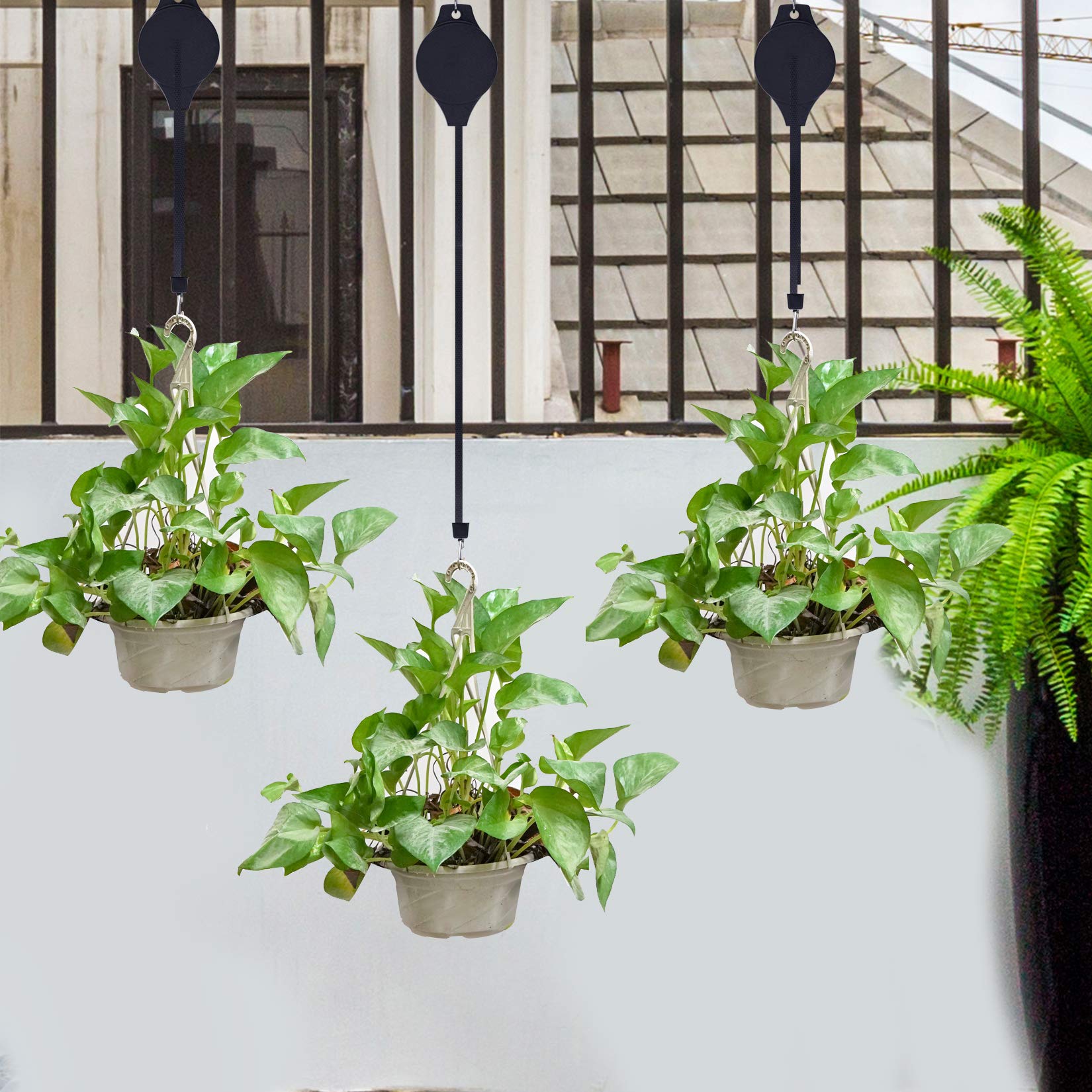 Hmxpls black plastic shell blends with garden décor and planters.