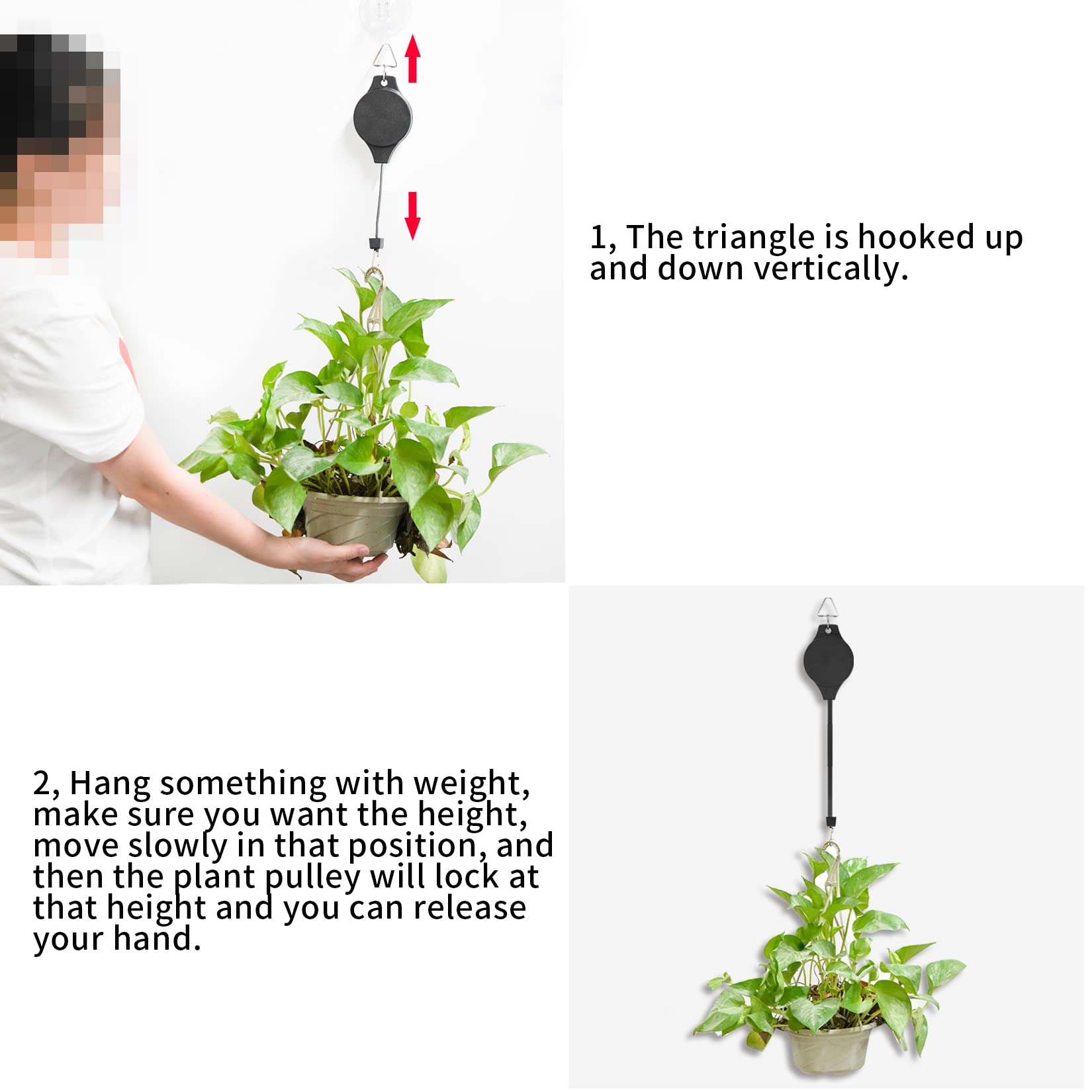 Hmxpls six-pack packaging for convenient multi-site gardening arrangements.