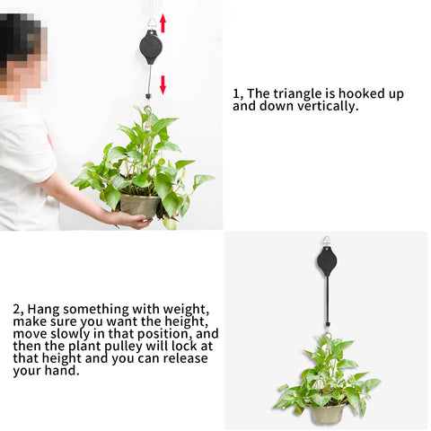 Hmxpls six-pack packaging for convenient multi-site gardening arrangements.
