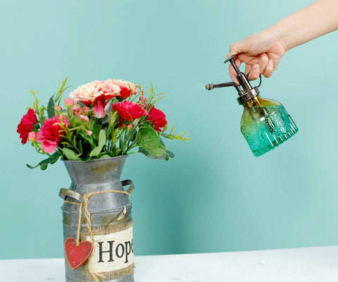 Hniuyun 240ml indoor watering bottle fits small succulents and herbs.