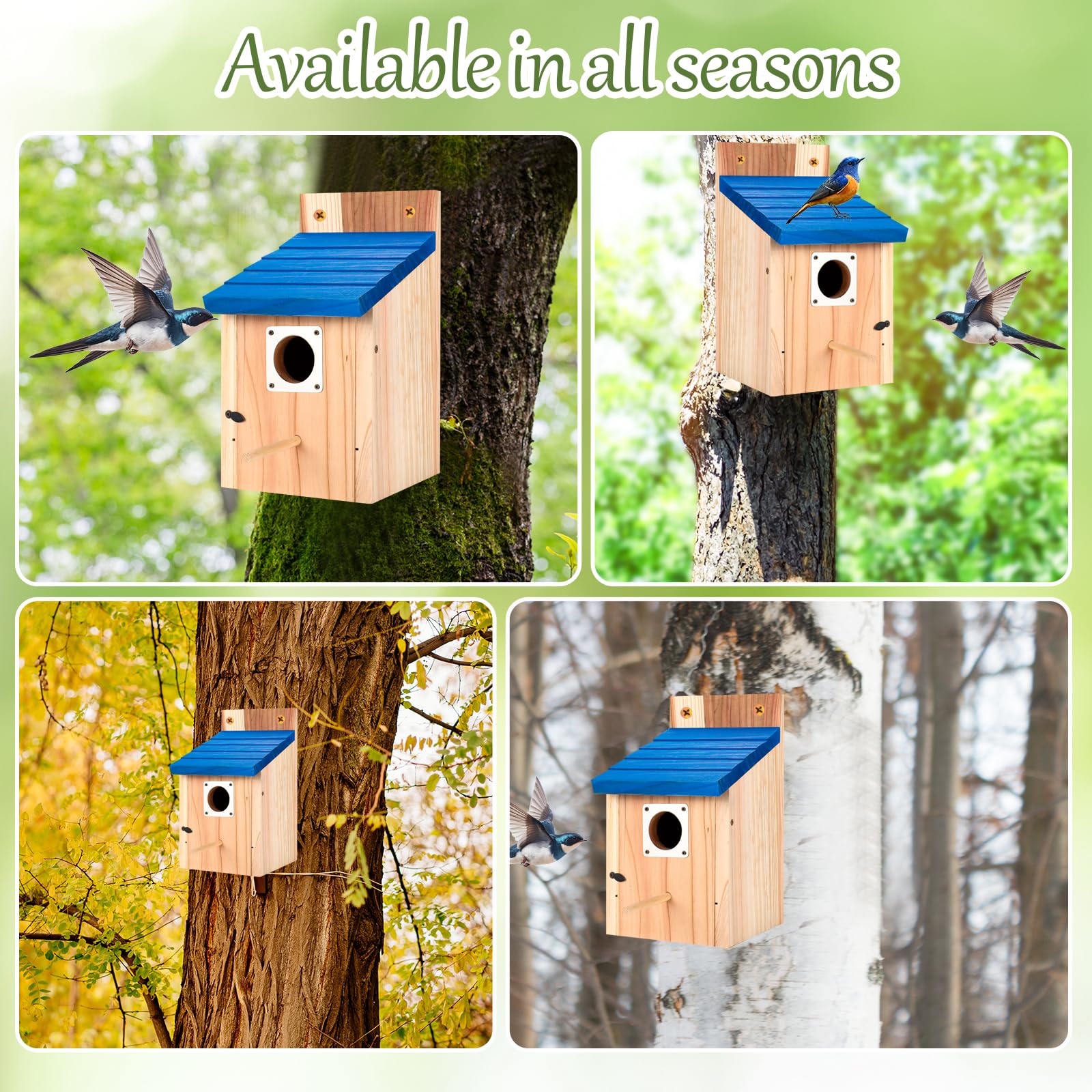 Hoamayya mounting screws included for quick outdoor installation.