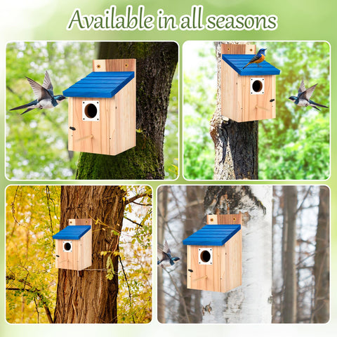 Hoamayya mounting screws included for quick outdoor installation.