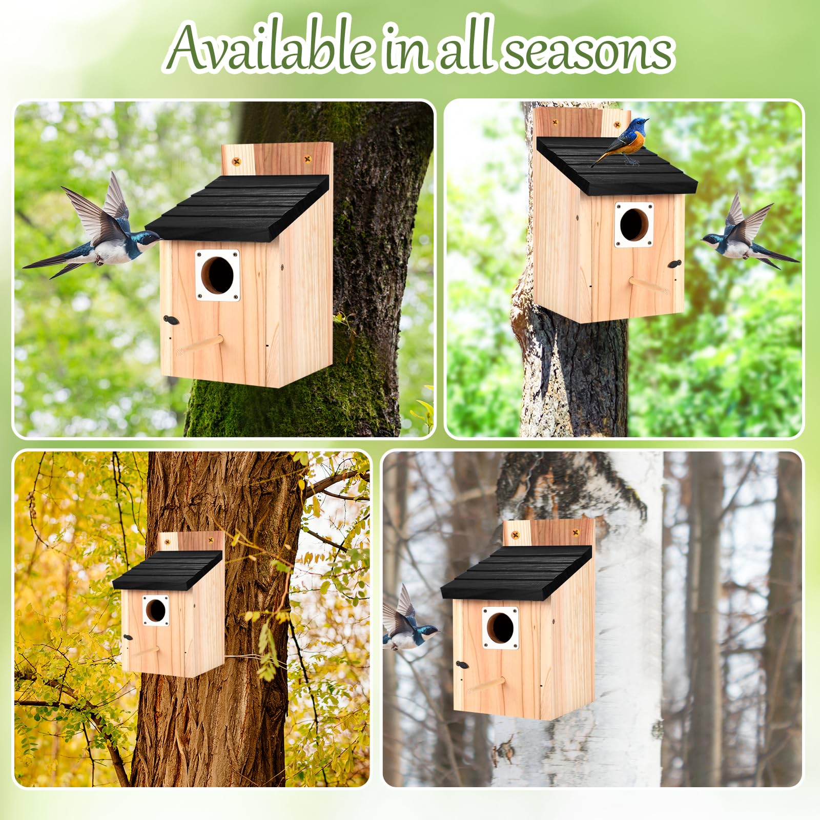 Hoamayya outdoor bluebird habitat idea for yards and gardens.
