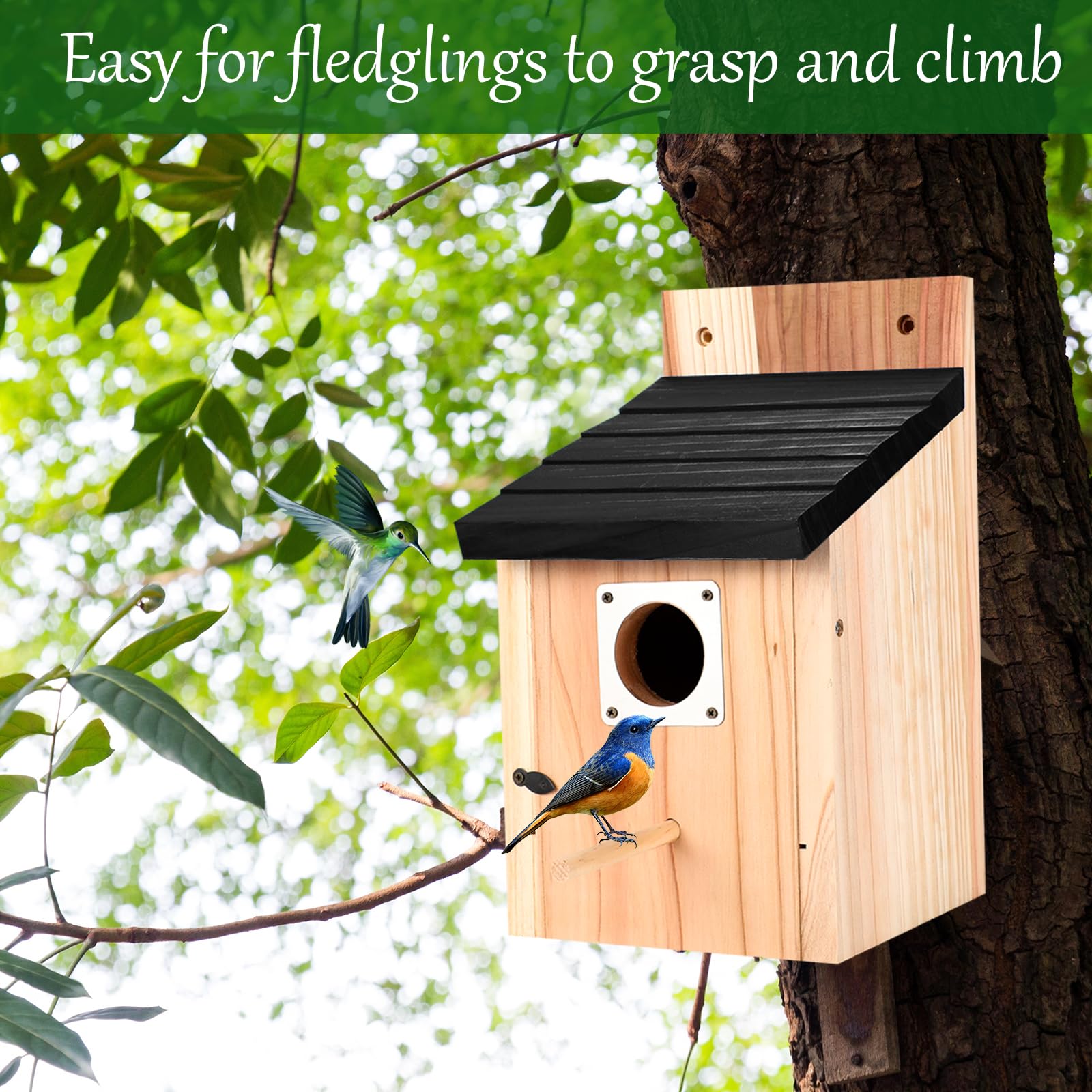 Hoamayya ventilation and drainage design keeps nests dry and comfortable.