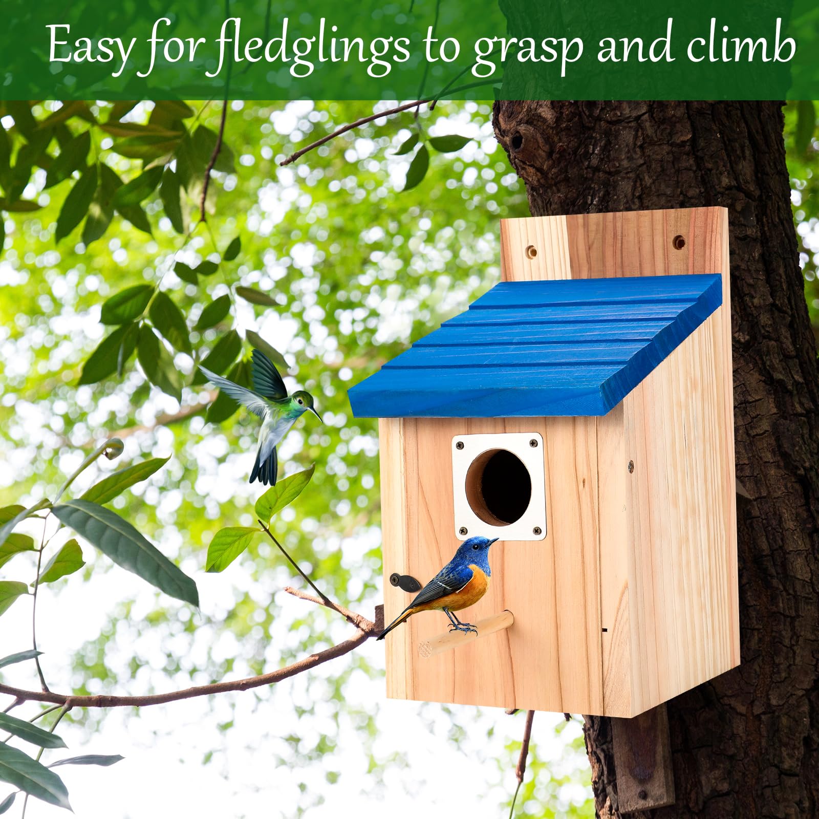 Hoamayya ventilation and drainage promote a dry nesting environment.