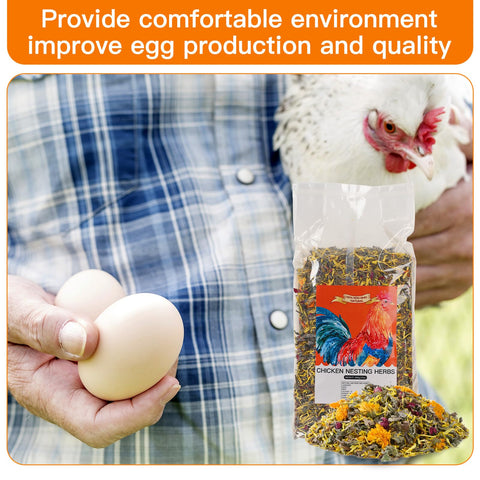 HoazHoald fresh coop setup, comfortable hens and steady environment for laying