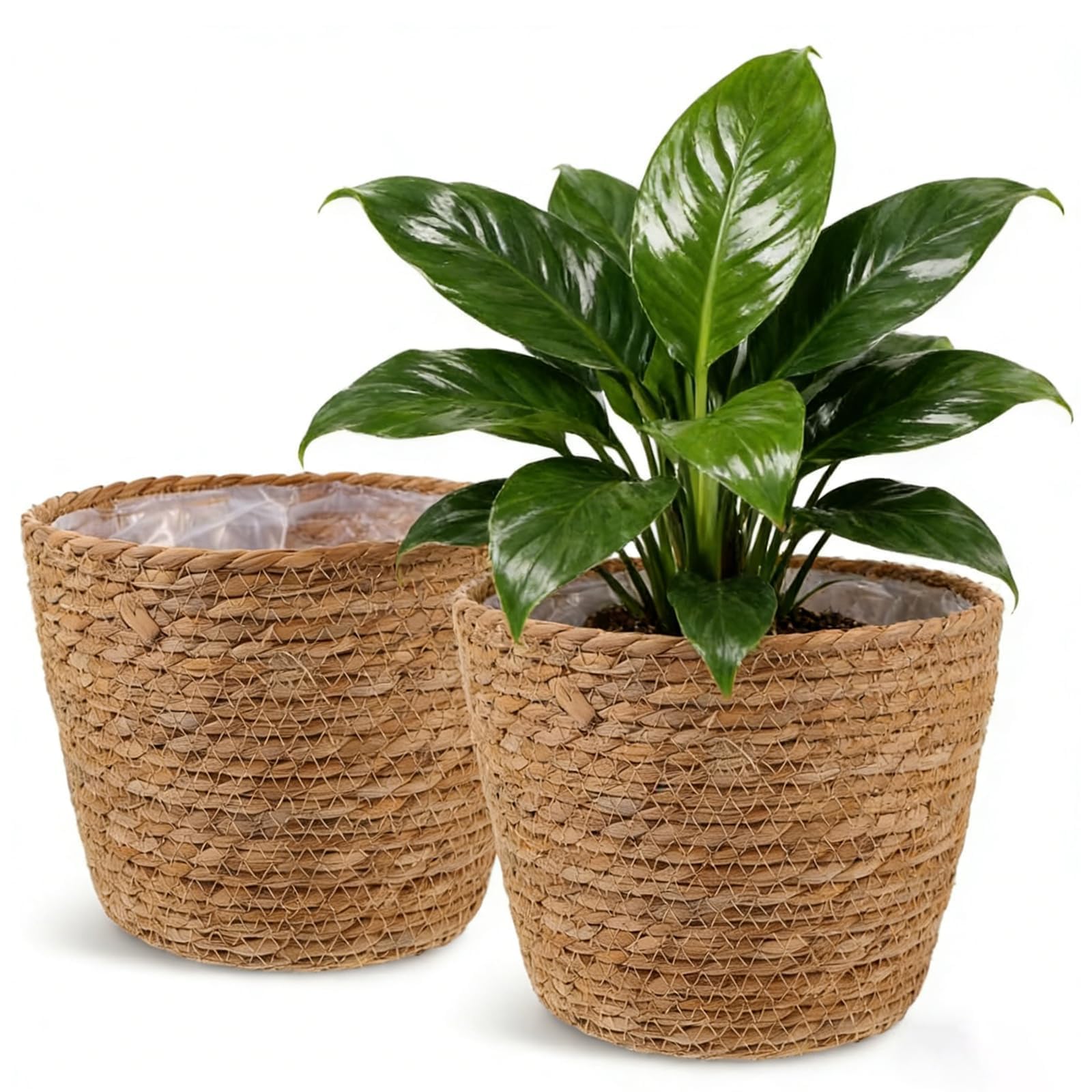 Hoceium 7.8 x 5.7 inch basket fits most 6-inch pots.