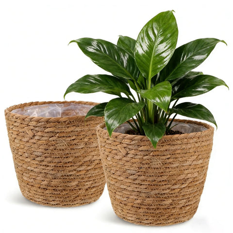 Hoceium 7.8 x 5.7 inch basket fits most 6-inch pots.