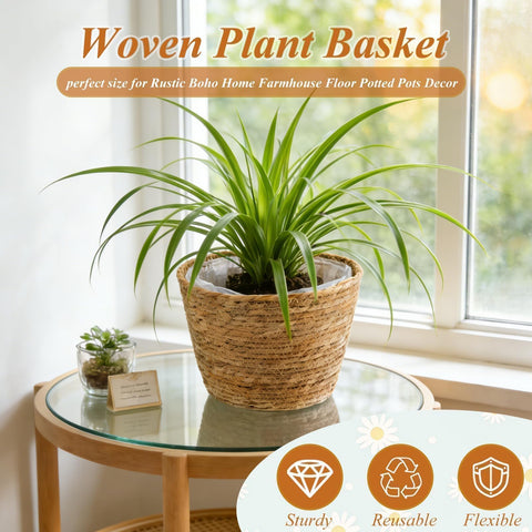 Hoceium natural seagrass display adds rustic warmth to living rooms.