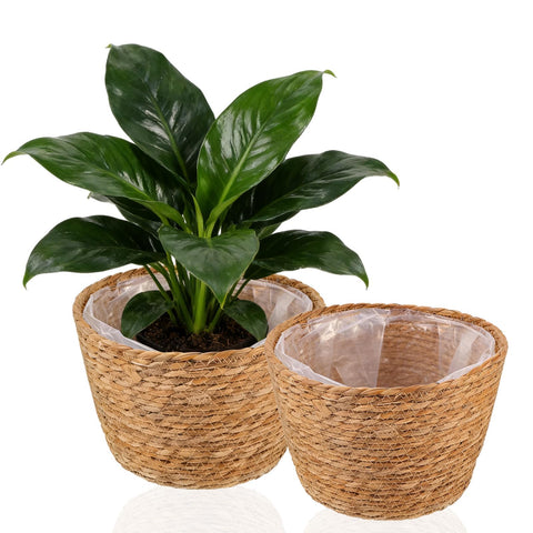 Hoceium patio-friendly plant basket doubles as decor and display.