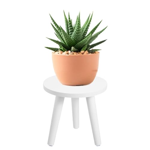 Hoceium elegant white finish enhances decor with simple maintenance.
