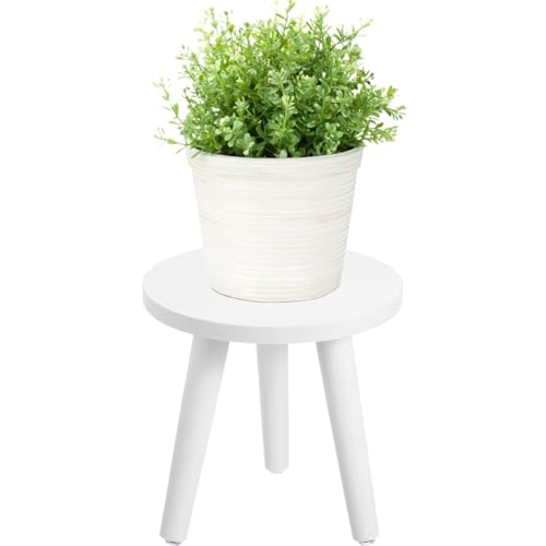 Hoceium small plant stand with a round top for compact indoor display.