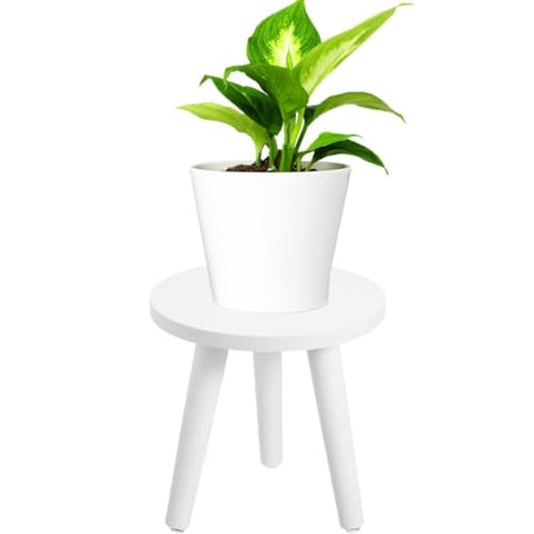 Hoceium versatile placement for living rooms, bedrooms, patios, and offices.