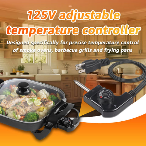 Hodeoo 125V controller with stainless steel sensing probe for accuracy.