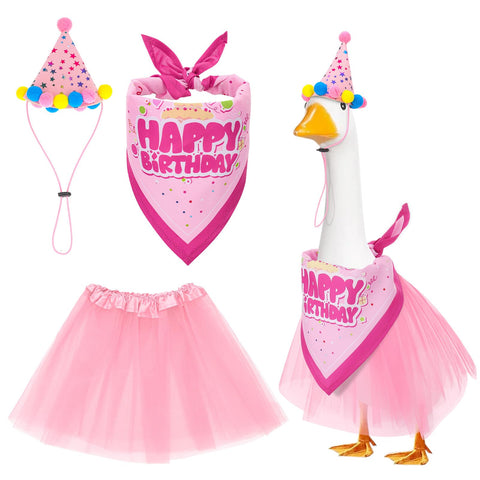 Hoemwarm birthday goose outfit with hat for festive porch decor.