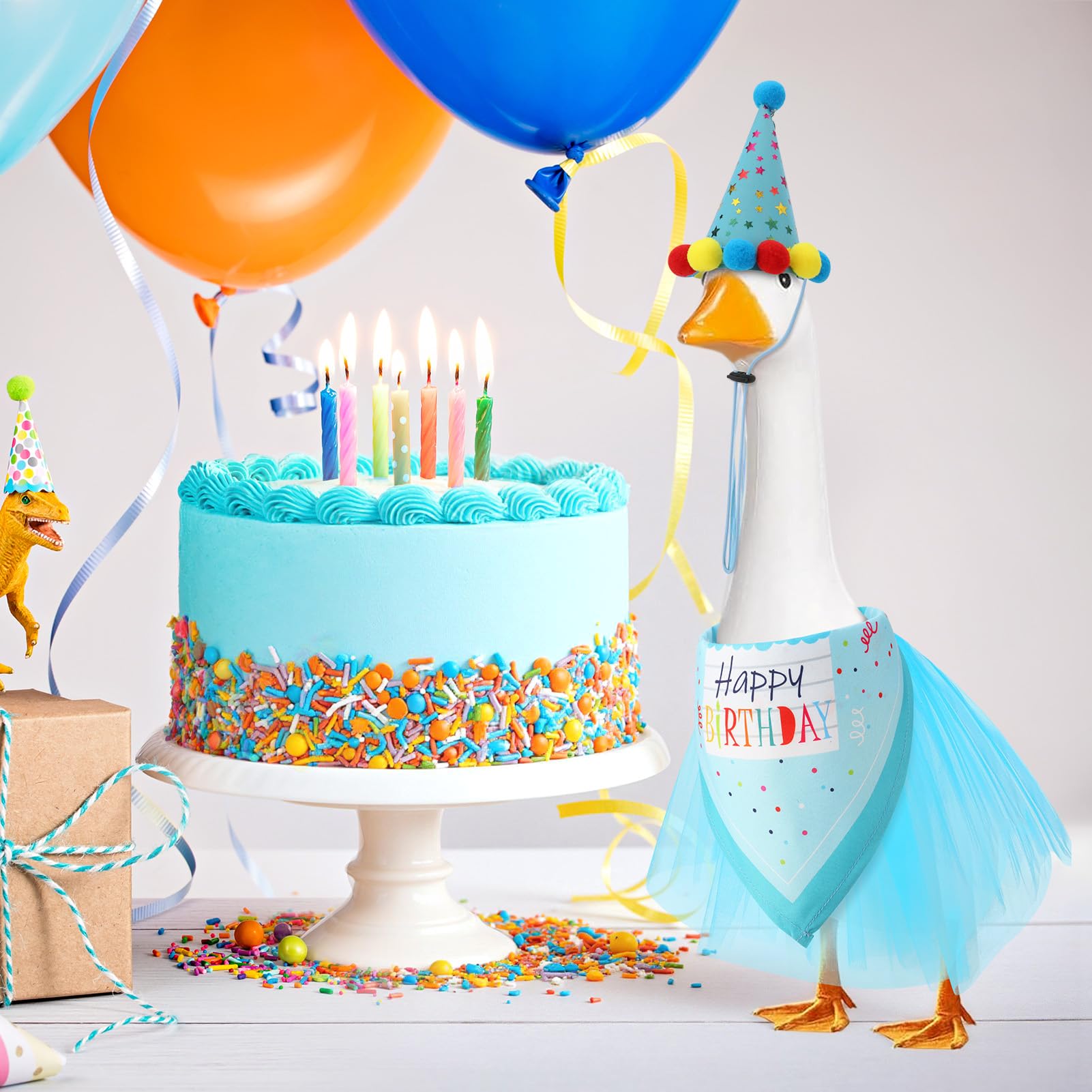 Hoemwarm birthday goose outfit packaging shows complete set for easy setup.