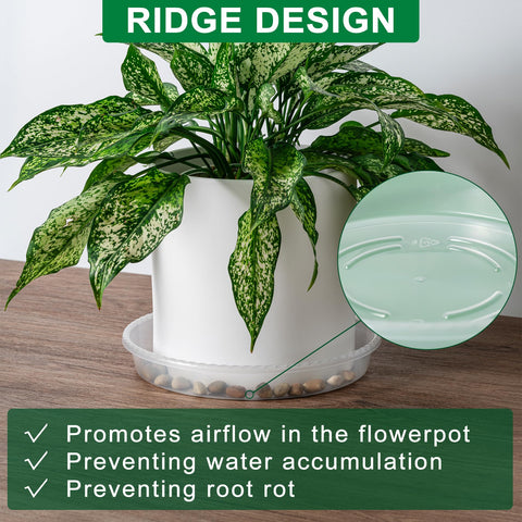 Hoewina 6-pack 10-inch trays, 1.4-inch height, provides leak protection.