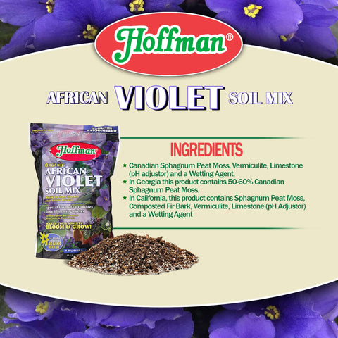 Hoffman 10301 soil spread in a pot shows bloom-friendly medium for violets.