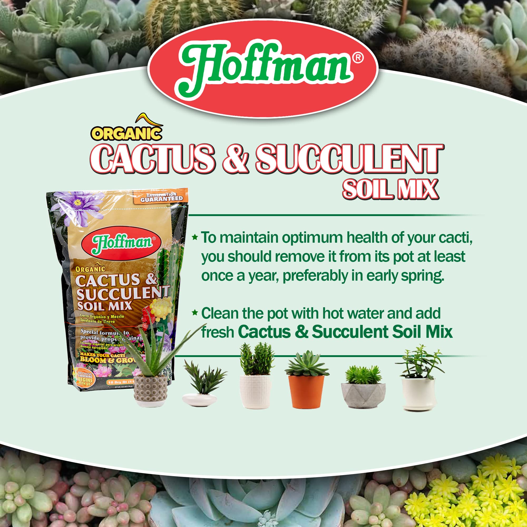 Hoffman 10410 organic cactus soil mix bag setup invites ready-to-use cactus planting.