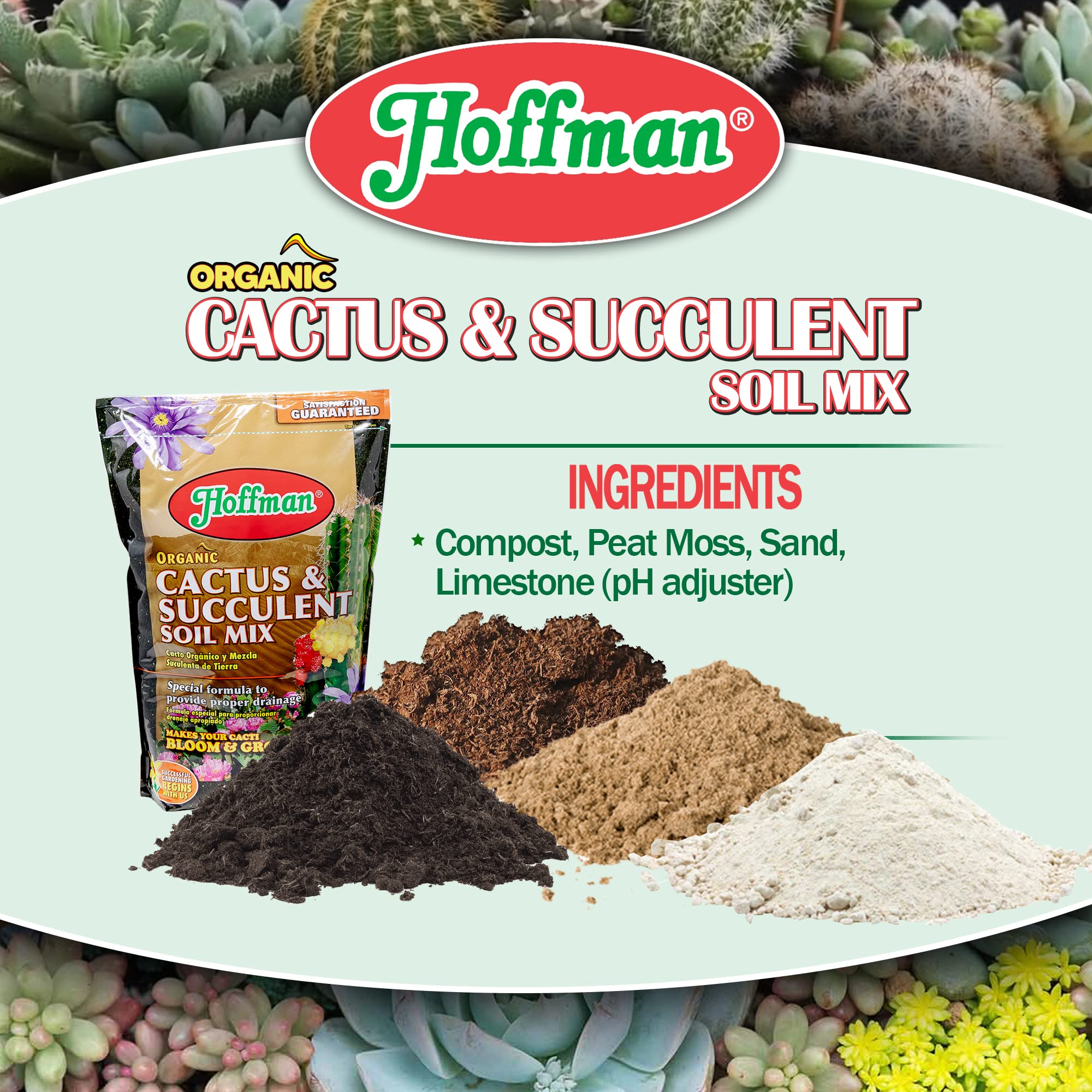 Hoffman 10410 organic cactus soil mix in a pot demonstrates better aeration for succulents.