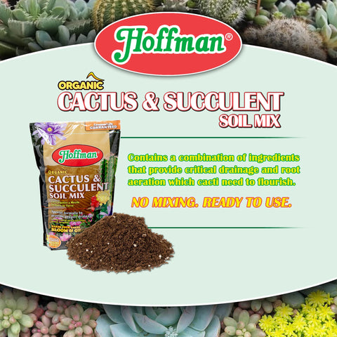Hoffman 10410 organic cactus soil mix pour image demonstrates easy application for potting.