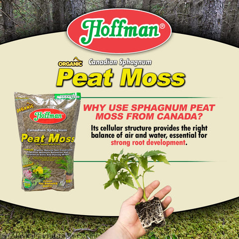 Hoffman peat moss with clay soil nearby showing improved drainage and root development.