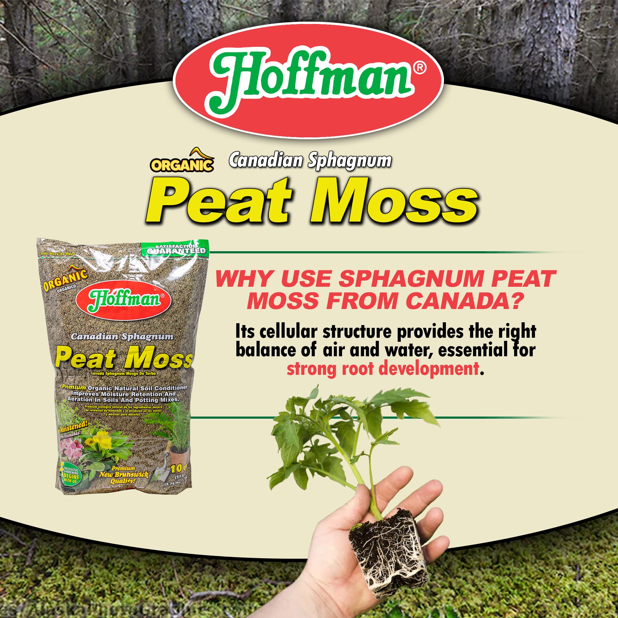 Hoffman peat moss for moisture retention in flower bed 2-pack ready for use