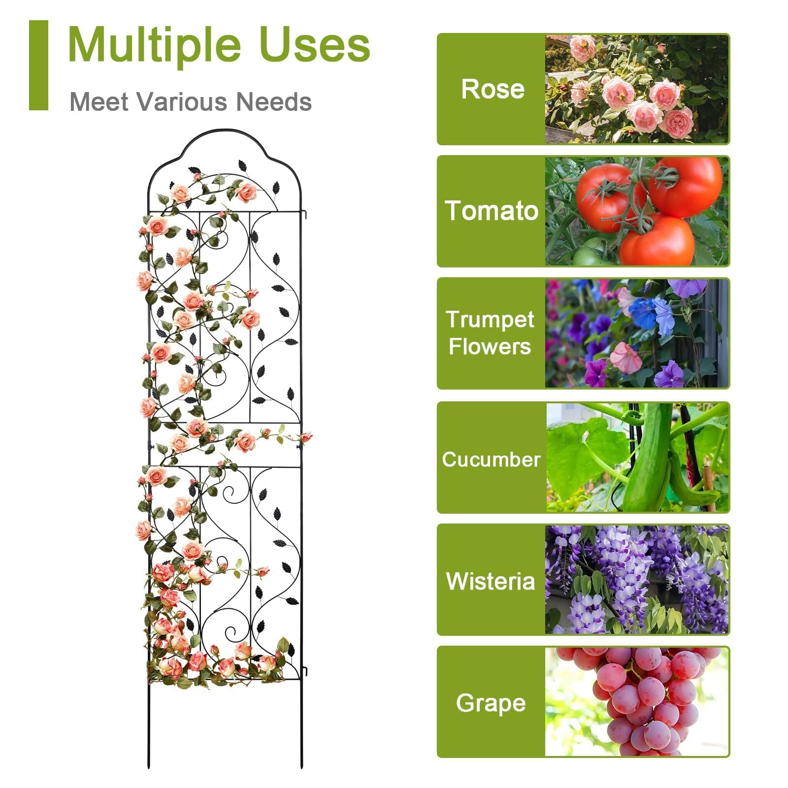 Hogardeck 84-inch tall, 19-inch wide trellis guides climbing plants upward.