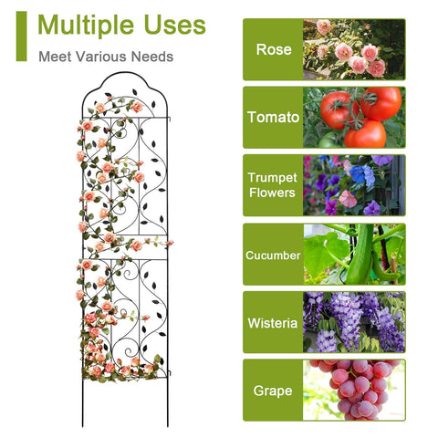 Hogardeck 84-inch tall, 19-inch wide trellis guides climbing plants upward.