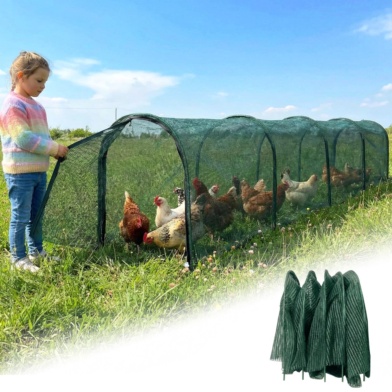 Hogarjal chicken run with 157-inch foldable frame provides generous outdoor roaming space.