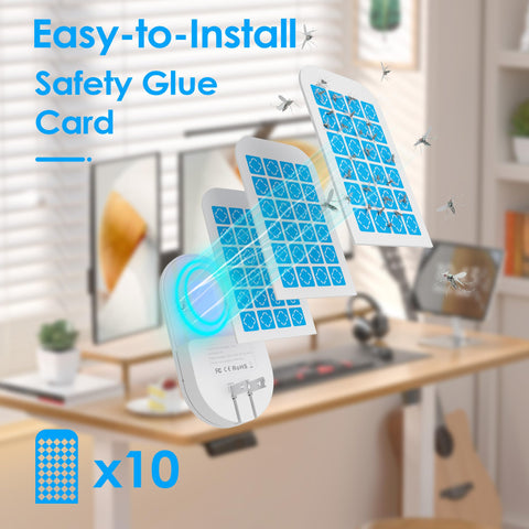 Hogius adhesive glue boards offer odor-free indoor bug control