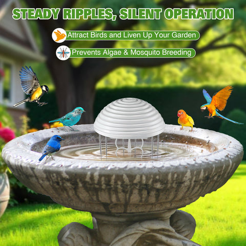 Hohean bird bath mover on water is visible during circling motion
