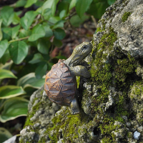 HoiiYoza desk turtle pot decor complements succulents and desk plants.