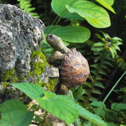 HoiiYoza UV-resistant turtle garden ornament withstands seasons on balconies.