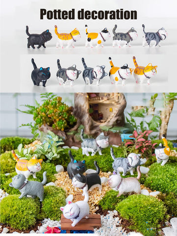 Miniature cats in fairy garden scenes for whimsical charm