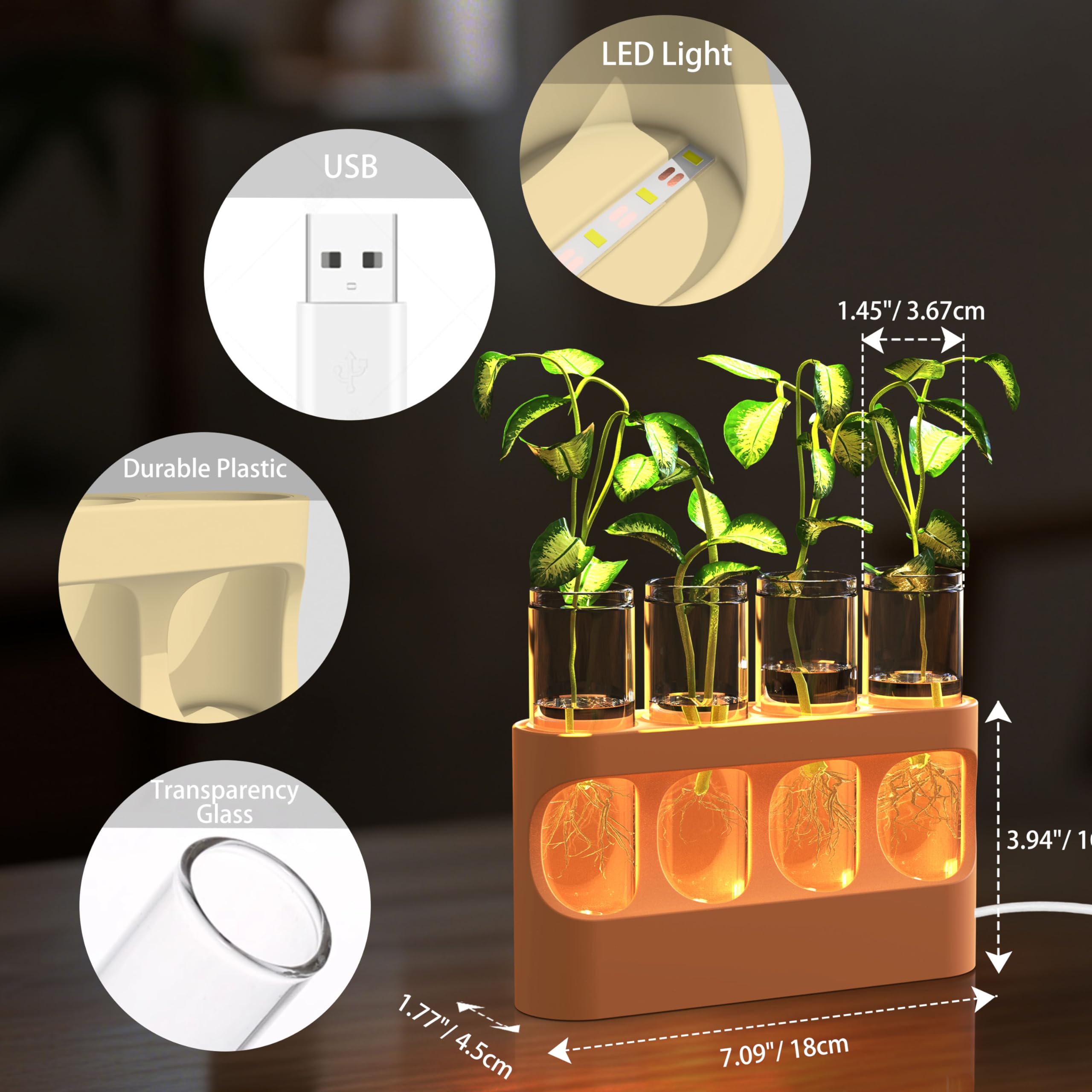 HOKKIEAM propagation station shown as an indoor gardening gift idea on a desk