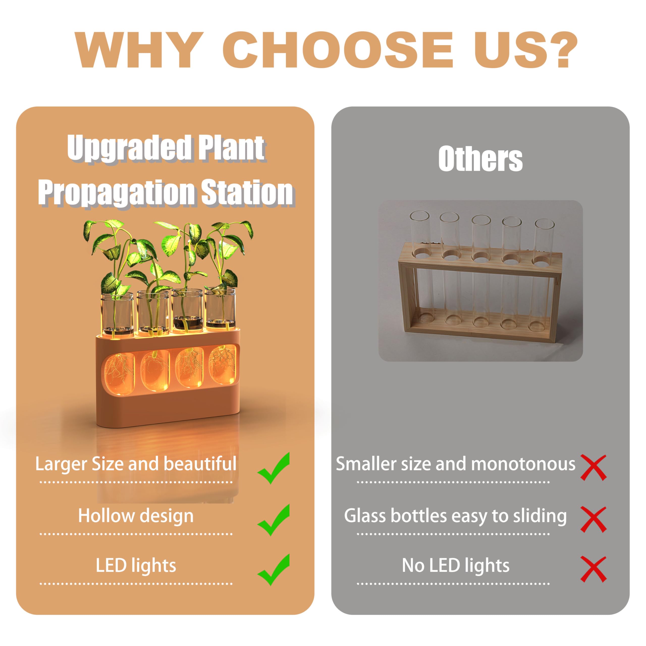 Indoor gardening setup with HOKKIEAM station for herbs and pothos propagation
