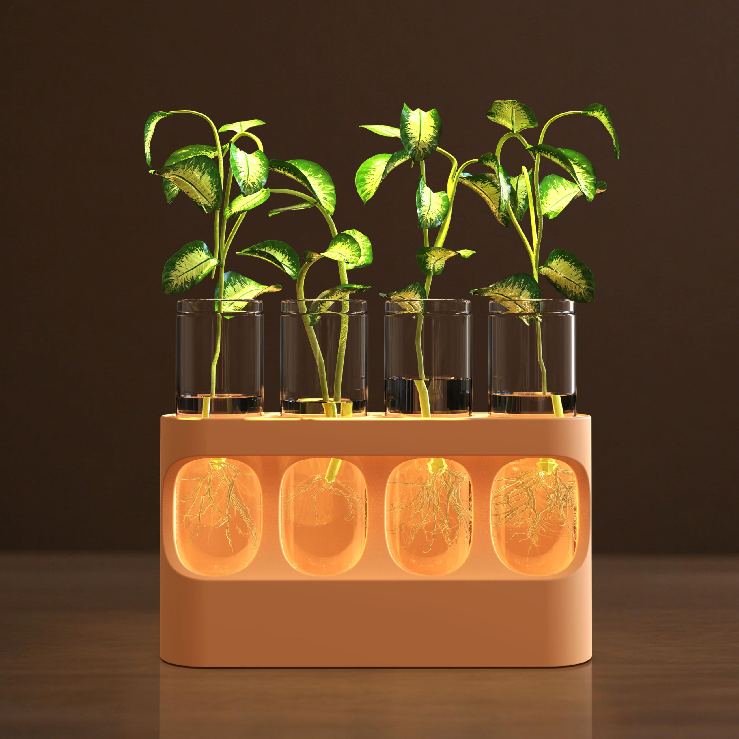 HOKKIEAM propagation station with LED lights supports healthy growth in low light
