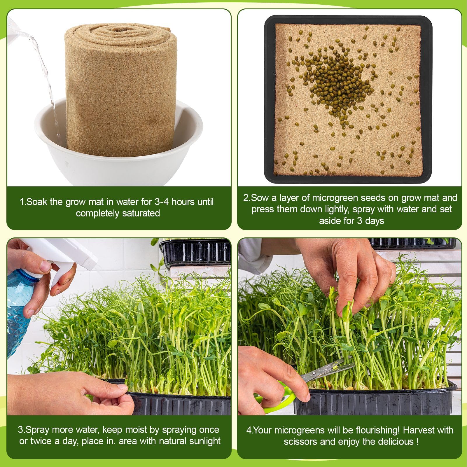 Hokoad microgreens growing kit ready for indoor use