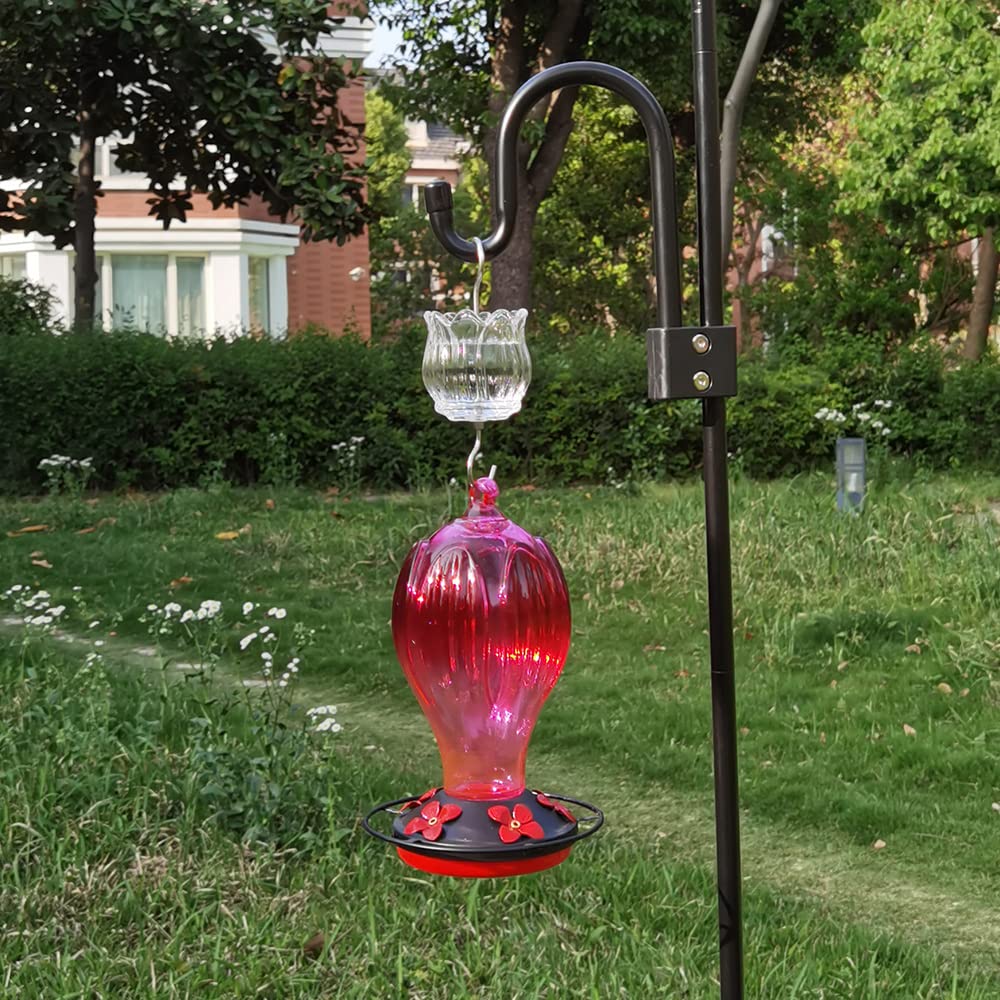 HolAHoma 3 oz capacity reduces refills while keeping nectar fresh.