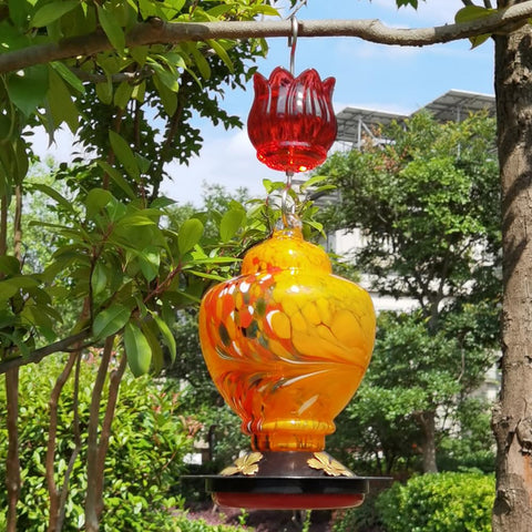 HOLAHOMA ant barrier protects nectar while you enjoy outdoor moments